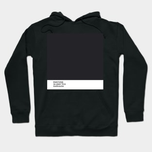 pantone 19-4007 TCX Anthracite Hoodie